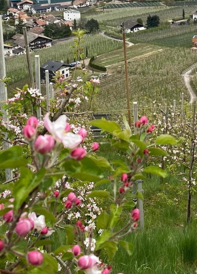 Weingut Bachguetl Apartamento Cermes Exterior foto