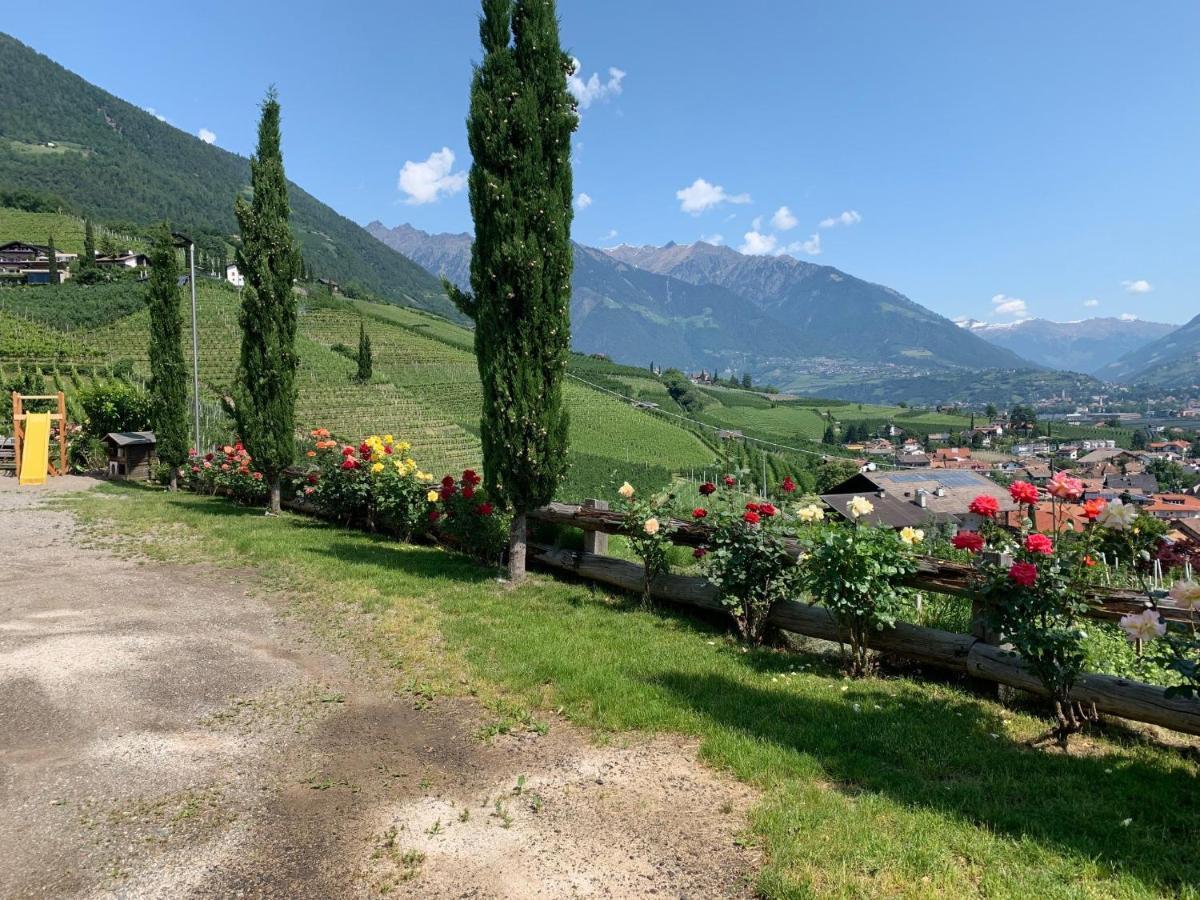 Weingut Bachguetl Apartamento Cermes Exterior foto