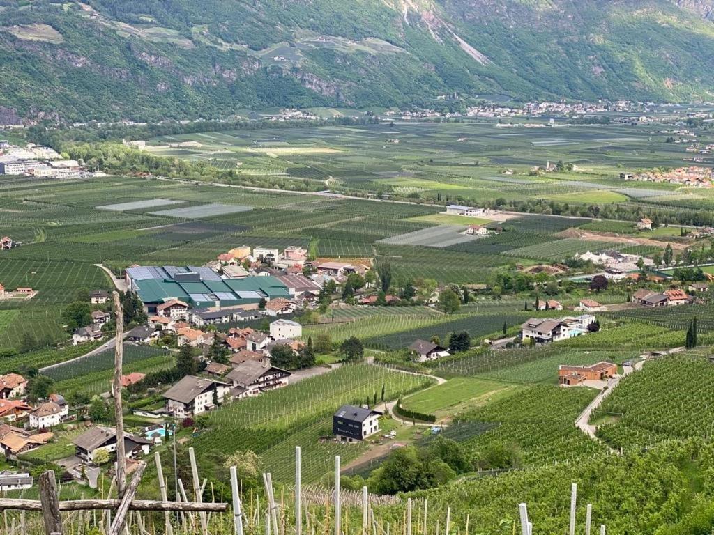Weingut Bachguetl Apartamento Cermes Exterior foto
